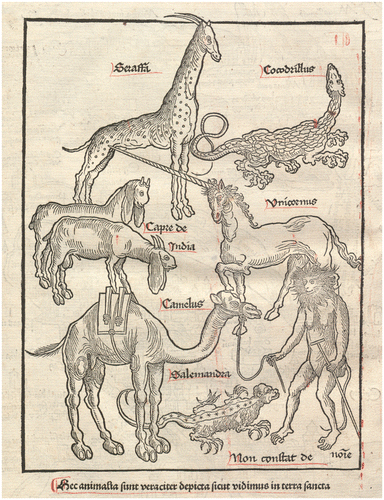 Figure 1. Plate with animals of the Holy Land by Erhard Reuwich in Bernhard von Breydenbach’s Peregrinatio in Terram Sanctam (Mainz, 1486). BSB München: 2 Inc.c.a. 1725, fol. 131v. urn:nbn:de:bvb:12-bsb00051697-6. © [BSB München]. Reproduced by permission of the Bayerische Staatsbibliothek München.