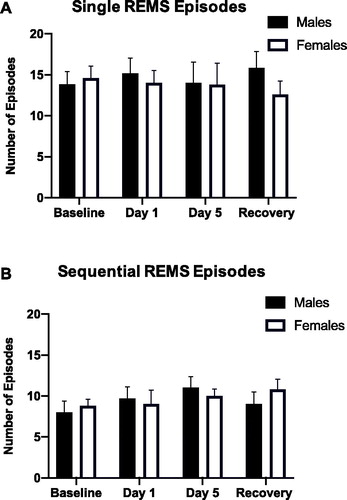 Figure 4. (A, B) Continuity of REMS (single versus sequential episodes of REMS) in the light period before, during, and after repeated restraint. Repeated restraint stress did not significantly alter the number of single or sequential REMS episodes in male or female rats.