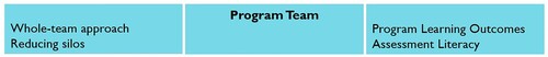 Figure 5. Program team from the governance level of the conceptual model.