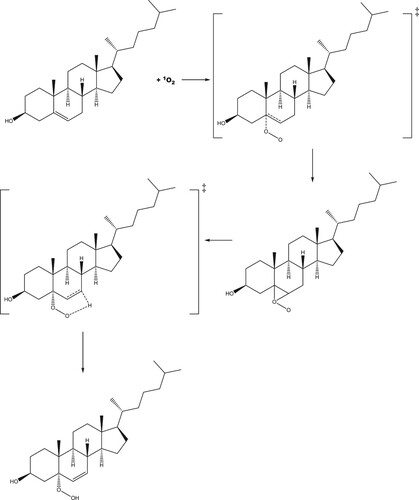 Scheme 1. Proposed reaction scheme for the production of 5-hydroperoxycholesterol via the ‘ene' reaction.