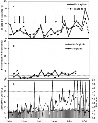 Figure 2. (a) In-field botrytis fruit rot (BFR) incidence and (b) Postharvest BFR incidence for weekly evaluations at Field 1 in 2021. The vertical arrows (↓) indicate the date on which fungicides were applied (see Table 4). The horizontal dashed line indicates 2% incidence. (c) Leaf wetness duration (vertical bars) in continuous hours per day, average temperature during leaf wetness period (dotted line) and BFR risk factor (solid line). The two horizontal dashed lines indicate risk factors of 0.5 and 0.7, respectively. Processing fruit production started on 27-sep.
