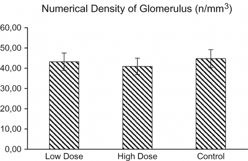 Figure 3. The mean numerical density of glomeruli ± SEM in all groups is summarized.