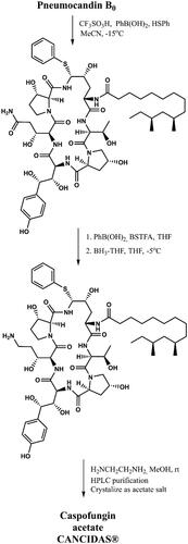 Figure 5. Improved synthesis of caspofungin acetate - CANCIDAS® (according toCitation29).