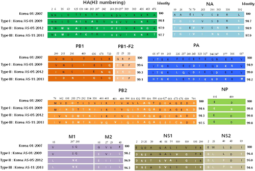 Fig. 1 Schematic diagram of commonly divergent amino acids of each gene segment in CIVs from 2007 to 2013 canine isolates.Differences in the amino acid residues of each gene are indicated by single-letter amino acid codes with positions indicated at the top of the diagram. The black and white letters indicate the amino acid regions originating from the first Korean CIV and recent CIVs, respectively. The amino acid positions of HA are based on the numbering of the H3 HA. Type I includes only one A/canine/Korea/AS-01/2009 virus. Three individual isolates (AS-05/12, AS-08/12, and AS-09/12 viruses) comprise Type II viruses. Type III viruses were the most divergent viruses from the Type I virus, containing six individual isolates (AS-03/12, AS-04/12, AS-06/12, AS-11/13, AS-14/13, and AS-15/13 viruses)