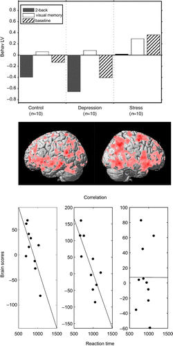 Figure 4.  Behavioral pattern, singular image, and correlation overview for the only significant behavioral PLS LV1 (p < 0.005). The top row demonstrates the behavioral LV that expressed a contrast, indicating task-dependent group differences in the brain–behavior correlation. The second row shows the brain regions (overlaid on a standard MRI template) that negatively correlated with behavioral measures. The most reliable regions in the positive and negative directions were right middle frontal (x, y, z: 46, − 2, 56; BSR = 9.59; 1531 voxels) and left fusiform (x, y, z: − 36, − 56, − 8; BSR = − 4.38; 11 voxels) cortex, respectively. The bottom row shows the correlation overview in scatter plots, reflecting the correlation between brain scores and reaction times for the 2-back task within LV1. The correlation was significant (r = − 0.73; r = − 0.80) for the first two columns (control and depression groups), but was roughly zero for the third column (stress group).