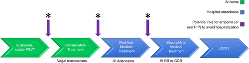 Figure 1. Guideline recommended treatment of paroxysmal supraventricular tachycardia and the potential role of etripamil.Etripamil may be suitable for immediate use in those with good responses, especially in those for whom vagal maneuvers are known to be ineffective. Alternatively, the benefit may be seen after failed vagal maneuvers or in the hospital before intravenous access, which may be obviated if PSVT is terminated by etripamil. Further, etripamil may be useful when IV adenosine has failed to terminate PSVT.BB: Beta-blocker; CCB: Calcium channel blocker; DCCV: Direct current cardioversion; IV: Intravenous; PIP: Pill-in-the-pocket (e.g., Flecainide); PSVT: Paroxysmal supraventricular tachycardia.