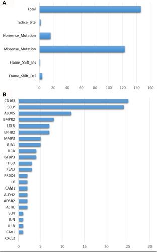 Figure 3 Mutation features of 26 COVID-19 target genes in the TCGA-LUAD dataset. (A) Mutation numbers of different types of mutations including splice site, nonsense, missense, frame-shift insertions and deletions. (B) Mutation counts of 26 COVID-19 target genes.