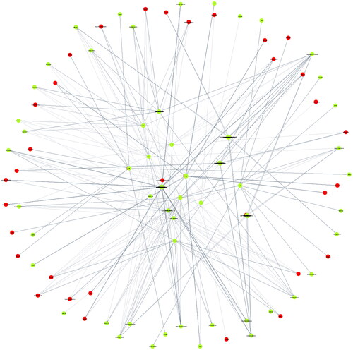 Figure 7. Licit supply network.