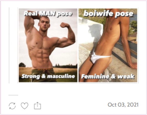Figure 1. Real man and boiwife contrast (screenshot Blogger 4).