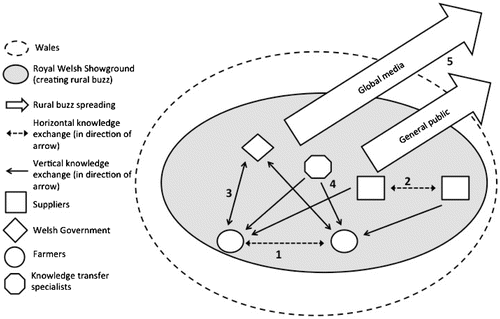 Figure 2. Simplified model of the rural buzz at the Royal Welsh Show (RWS). Note: 1, Interaction between farmers; 2, interaction between different agricultural suppliers/service providers; 3, interaction between the Welsh government and farmers;4, interaction between knowledge transfer specialists; and 5, spread of knowledge throughout the community and beyond.