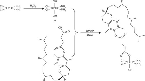 Figure 1 Schematic diagram of synthesis of TOS-CDDP.Abbreviations: DMAP, 4-dimethylaminopyridine; DCC, N,N′-dicyclohexyl-carbodimide; TOS-CDDP, α-tocopherol succinate-cisplatin prodrug.