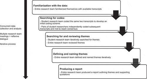 Figure 1. Visual display of analysis process