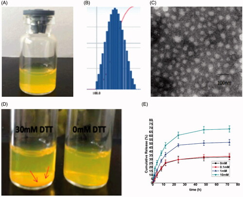 Figure 4. (A) The redissolved cur-loaded ALN-oHA-S-S-CUR micelles with PBS; (B) The size distribution of cur-loaded ALN-oHA-S-S-CUR micelles; (C) The TEM images of cur-loaded ALN-oHA-S-S-CUR micelles; (D) Photograph of ALN-oHA-S-S-CUR micelles dissolved by 30 and 0 mM DTT after 12 h. (E) In vitro release profiles of cur- loaded ALN-oHA-S-S-CUR micelles at different GSH concentration.