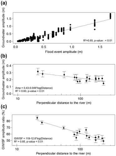 Figure 5. (a) Groundwater amplitude fluctuations in relation to the river stage amplitude for the 54 selected flood events. For each river stage amplitude, groundwater amplitudes for the 15 piezometers are shown. (b) Mean groundwater amplitudes (of the 54 flow events) recorded by the piezometers as a function of the perpendicular distance of the piezometers from the river banks for all 15 piezometers. (c) Mean ratio of groundwater amplitude (GW) to the river stage amplitude (SF) for the 54 selected flood events as a function of the perpendicular distance from the river banks for all 15 piezometers.