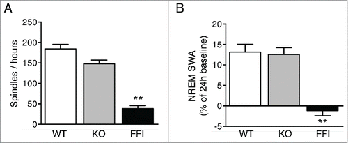 FIGURE 2. Sleep spindles and slow-wave activity are reduced in Tg(FFI) mice. Number of sleep spindles per hour (A) and normalized SWA during NREM sleep (B) were measured as described.Citation7 Data are the mean ± SEM of 8 non-Tg/Prnp+/+ (WT), 10 non-Tg/Prnp0/0 (KO) and 9 Tg(FFI)/Prnp0/0 (FFI). **p < 0.01 by one-way ANOVA with Bonferroni's correction.