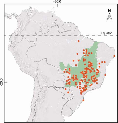 Figure 1. Global occurrence map of Annona crassiflora (araticum). Adapted from: Global Biodiversity Information Facility (GBIF Citation2021).