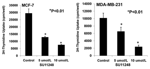 Figure 8 Effects of SU11248 on the proliferation of cultured ER-positive (MCF-7) and ER-negative (MDA-MB-231) human breast cancer cells. 3H-thymidine incorporation showed that 5 and 10 µmol/L of SU11248 caused a 56% and 77% decrease in the proliferations of ER-positive (MCF-7) human breast cancer cells, respectively; in contrast to the control (p < 0.01; n = 8). 5 and 10 µmol/L of SU11248 caused a 36% and 75% decrease in the proliferations of ER-negative (MDA-MB-231) human breast cancer cells, respectively; in contrast to the control (p < 0.01; n = 8).