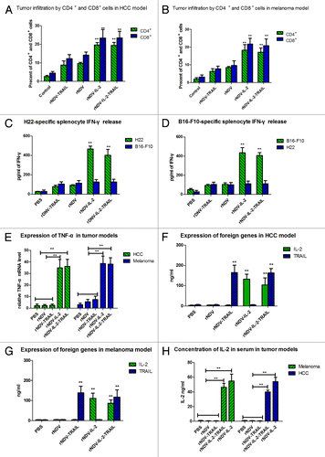 Figure 6. IL-2 enhanced immune responses against tumor cells in vivo. (A and B) Percent of the CD4+ and CD8+ cells on tumors from HCC (A) and melanoma (B) mice was analyzed by FACS. (C and D) Tumor-specific IFN-γ released from stimulated splenocytes in HCC (C) and melanoma model (D) was analyzed by ELISA. (E) Expression of TNF-α was examined in melanoma and HCC models animals. (F and G) TRAIL and IL-2 in tumor homogenates was analyzed in HCC (F) and melanoma (G) models. (H) Concentration of human IL-2 in serum was analyzed by ELISA in HCC and melanoma models. All the values are the mean and SEM of triplicate samples. One-way ANOVA revealed a significant effect. *P < 0.05, **P < 0.01, vs control.