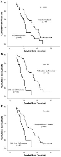 Figure 2 Survival analysis of three epithelial-mesenchymal transition markers in univariate analysis using the Kaplan-Meier method determined by the log-rank test. E-cadherin loss (A) and upregulation of mesenchymal proteins vimentin (B) and N-cadherin (C) were found to be significantly associated with a poor outcome. There was also a trend toward coexistence of multiple epithelial-mesenchymal transition markers (D and E) associated with much more shorter overall survival.