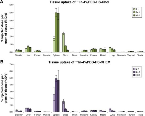 Figure 3 Tissue uptake of 111In-labeled 4%PEG-HS-Chol (A) and 4%PEG-HS-CHEM (B) in healthy rats.Notes: A group of three animals were sacrificed at 2, 24 and 48 h after the injection of each type of radiolabeled liposome. Tissues (bladder, liver, femur, muscle, spleen, blood, brain, intestine, kidney, heart, lung, stomach, thyroid and testis) were extracted for gamma counting and weight measurement. The uptake values are expressed as the percentage of injected dose per gram (%ID/g ± SD).Abbreviations: PEG, polyethylene glycol; HS, hydrogenated soy; Chol, cholesterol; CHEM, cholesteryl hemisuccinate; SD, standard deviation.