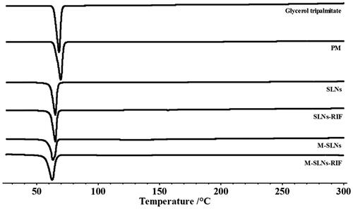 Figure 4. DSC thermograms Infrared spectra of Glycerol palmitate, PM, SLNs, SLNs-RIF, M-SLNs and M-SLNs-RIF (n = 3). M-SLN-RIF: rifampicin-loaded mannosylated solid lipid nanoparticles; M-SLNs: mannosylated solid lipid nanoparticles; SLN RIF: rifampicin-loaded solid lipid nanoparticles; SLNs: solid lipid nanoparticles; PM: physical mixture.