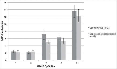 Figure 2. Percent methylation at each CpG site within the examined BDNF IV region for the depression-exposed and control infants.