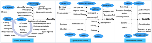 Figure 3. Various factors influencing the suspected cause-effect linkage between EMF irradiation exposure and biological effects in an in vitro setup.