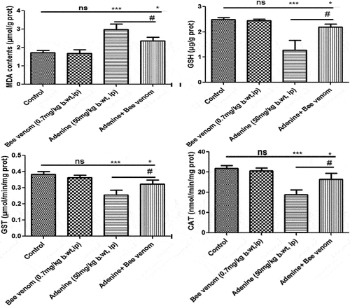 Figure 5. Changes in the oxidative stress markers (GSH and MDA contents, and CAT and GST activity) in kidney tissue of control and treated mice with adenine alone (50mg/kg body weight, IP) for four weeks, Bee venom (BV) alone (0.7mg/kg body weight, IP) for seven, and Adenine + Bee venom, where BV was injected for 7 days after CKD induction. Error bars represent the error of the means. *p<0.05,  **p< 0.01 and ***p<0.001 versus control group. #p< 0.05  versus adenine group.