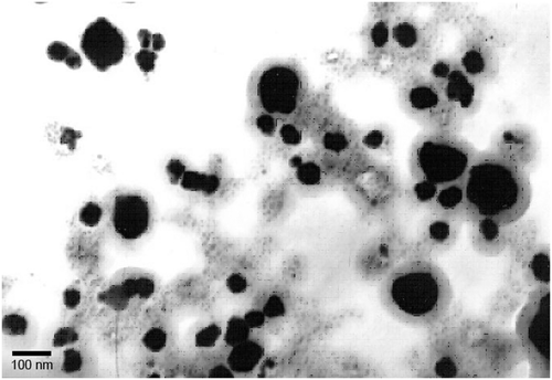 Figure 6. Transmission electron microscopy image of green-synthesised silver nanoparticles taken at 100,000×.