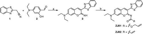 Scheme 1. Reagents and conditions: (a) a drop of piperazine, MeOH, r.t., 16 h; (b) DCM, Et3N, allyl carbonochloridate, 0 °C, overnight for ZJ01; DCM, Et3N, acryloyl chloride, 0 °C, overnight for ZJ02.