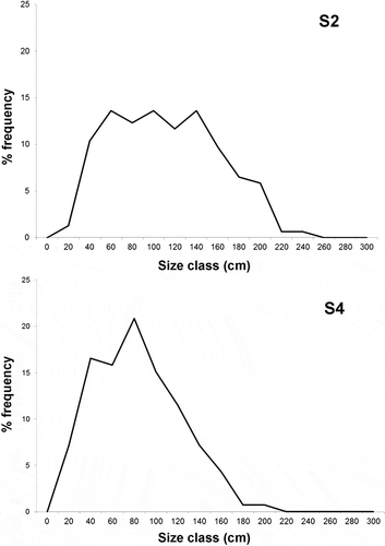 Figure 8. Size-frequency distribution of Parantipathes larix for the two forests of Montecristo.