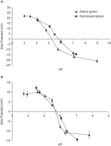 Figure 2 Zeta potential (electrokinetic potential) of native and hydrolyzed gluten from wheat flours. (a) durum wheat and (b) bread wheat.