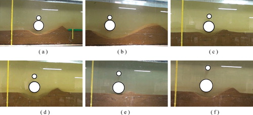 Figure 3. The scour profiles around the piggyback pipelines with D = 0.10 m. (a) e = 0, u0=0.3 m/s, (b) e = 0, u0=0.4 m/s, (c) e = 0.25, u0 = 0.3 m/s, (d) e = 0.25, u0=0.4 m/s, (e) e = 0.5, u0=0.3 m/s, (f) e = 0.5 and u0 = 0.4 m/s.