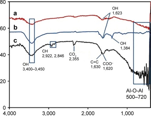 Figure 1 FTIR spectrum of membranes: a: NSSM, b: NSSM-OH, c: NSSM-MWCNT.Abbreviations: FTIR, Fourier-transform infrared spectroscopy; MWCNT, multi-walled carbon nanotube; NSSM, nanoporous solid-state membrane.