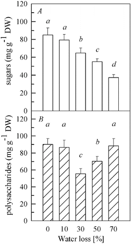 Figure 1. Contents of soluble sugars (A) and soluble polysaccharides (B) in fruit bodies of Auricularia auricula under water loss. Mean values from five replications. Error bars represent ± SD. Different lowercase letters indicate significant difference (P < 0.05).