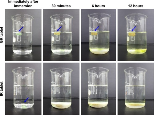 Figure 1 In vitro buoyancy behavior of GR tablet of DA-9601 as a function of time.