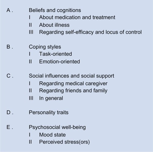 Figure 1 Psychosocial categories.