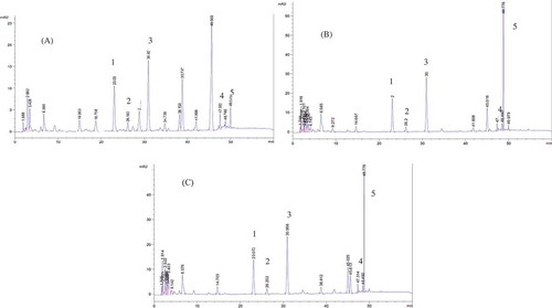 Figure 2. Typical HPLC chromatograms of raw and roasted soybean. (A) Raw yellow soybeans, (B) roasted yellow soybean under 210°C for 35 min, (C) roasted yellow soybean under 230°C for 25 min. Peaks: 1, daidzin, 2, glycitin, 3, genistin, 4, daidzein, 5, glycitein.