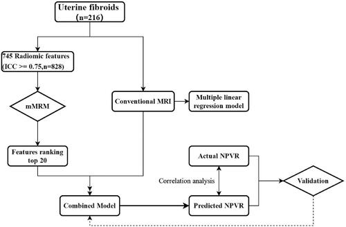 Figure 1. Flow chart of the study design.