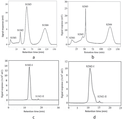 Figure 3. Purification of the crude peptide with <1 kDa in stir-fried beef by Sephadex G-15 and RP-HPLC. (a: Sephadex G-15 gel filtration chromatogram of ultrafiltration fraction with molecular weight (MW) <1 kDa obtained from stir-fried beef blank experiment; b: Sephadex G-15 gel filtration chromatogram of ultrafiltration fraction with molecular weight (MW) <1 kDa obtained from stir-fried beef orthogonal optimal experiment; c: RP-HPLC chromatogram of gel filtration fraction with the highest umami score obtained from stir-fried beef blank experiment; d: RP-HPLC chromatogram of gel filtration fraction with the highest umami score obtained from stir-fried beef orthogonal optimal experiment.)