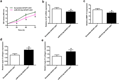 Figure 5. AFAP1-AS1 regulated chondrocyte proliferation and collagen expression by inhibiting miR-512-3p. (a) Proliferation under different treatment conditions. (b) Ki-67 levels were detected under different treatment conditions. (c) MMP-13 mRNA levels were detected under different treatment conditions. (d) Type II collagen mRNA levels were detected under different treatment conditions. (e) Type IV collagen mRNA levels were detected under different treatment conditions. * P < 0.05.