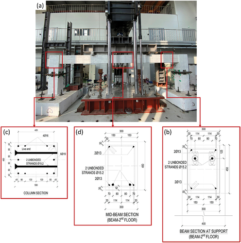 Figure 4. Test setup and specimen detail of the second floor.