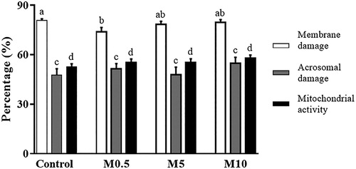 Figure 3. Sperm membrane damage, acrosome damage, and mitochondrial activity in ram semen following cryopreservation. Control: control group, M0.5: 0.5 mg/mL of Moringa oleifera seed extract, M5: 5 mg/mL of M. oleifera seed extract, M10: 10 mg/mL of M. oleifera seed extract. Data are presented as mean ± SEM. a,b Different literals across bars of the same colour indicate significant differences (P < 0.05).