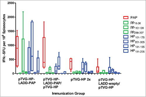 Figure 3. Increased immunogenicity of prime-boost immunization with LADD boost not due to increased antigen load or inflammatory signals from Listeria alone. Six- to ten-week old A2/DR1 mice were immunized with 100 µg pTVG-HP intradermally and then three weeks later with either 1× 106 cfu LADD-PAP (n = 6), 100 µg of pTVG-HP (n = 5), or pTVG-HP administered intradermally with an intraperitoneal injection with 1× 106 cfu LADD-PAP (n = 5) or LADD-empty (n = 5). One week after the last immunization splenocytes were collected for IFNγ ELISPOT analysis as above. Shown are box and whisker plots with the number of IFNγ spot-forming units (SFU) per million splenocytes for each stimulating antigen for all animals per treatment group. Statistical comparisons were made between the first two treatment groups, and third and fourth treatment groups, using a Mann-Whitney U test and no comparisons were found to have p < 0.05.