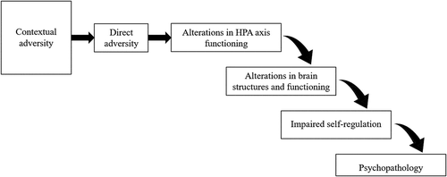 Figure 1. Model of the developmental cascade discussed in this review, in which experiences of early adversity increase risk for psychopathology