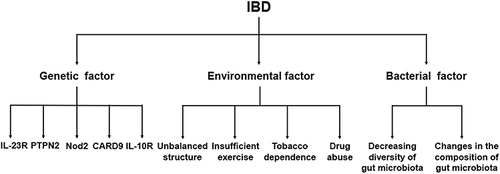 Figure 1 Classification of factors that can induce IBD.