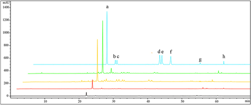 Figure 4 A representative HPLC chromatogram. From top to bottom: mixture of standard compounds (blue line), XBSD (green line), N-XBSD (Orange line), T-XBSD (red line) and S-XBSD (black line). (a) mulberroside A; (b) kukoaMine B; (c) kukoaMine A; (d) liquiritin; (e) liquiritin apioside; (f) oxyresveratrol; (g) mulberroside C; (h) glycyrrhizic acid ammonium salt.