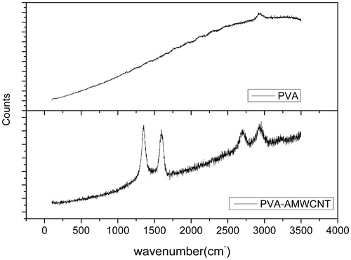 Figure 4. Raman spectrums of PVA and PVA/AMWCNT microspheres.(D band: 1350 cm, G band: 1590 cm)