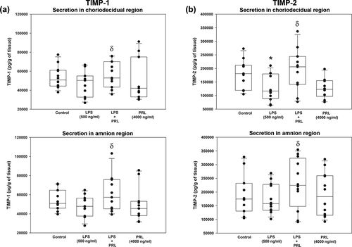 Figure 6. Quantification by ELISA of in vitro release of TIMP-1 and TIMP-2 in choriodecidua (CHD) and amnion (AMN) in response to co-treatment with LPS (E. coli) and human recombinant PRL. Graphs show medians with interquartile range of 4 independent experiments. Significant differences (p < .05) are marked (*) between basal condition and LPS, and (δ) between LPS and PRL co-treatment.