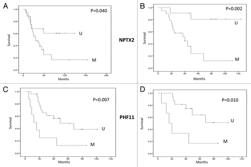 Figure 6. Survival analysis. (AandB) Kaplan-Meier Survival curves for NPTX2 methylation status and overall survival in ES sample cohort (M; Methylated and U; Unmethylated). (CandD) Kaplan-Meier Survival curves for PHF11 methylation status and overall survival in the ES sample cohort (M, Methylated; U, Unmethylated). A and C all ages; B and D patients 18 y or below.